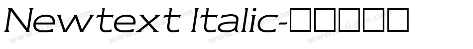 Newtext Italic字体转换